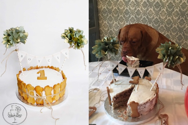 Dogs Birthday Cakes