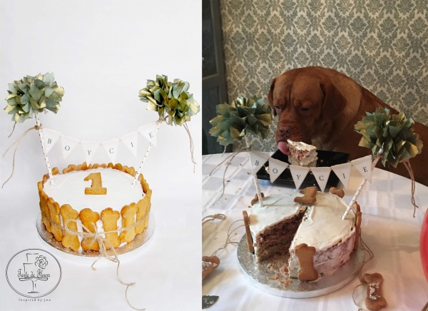 Dogs Birthday Cakes Dogs Birthday Cakes